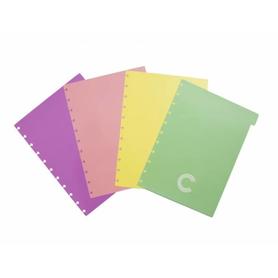 Separadores cuaderno inteligente grande color pastel